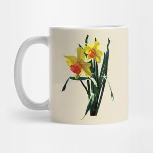 Daffodils - Curious Daffodils Mug
